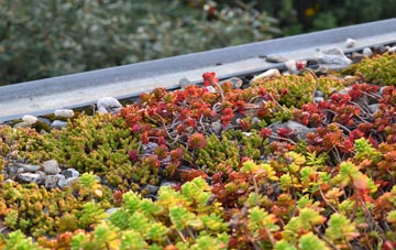 the cost of Amport green roof installation