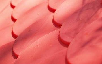 Amport plastic roof costs