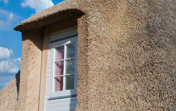 Amport thatch roof disadvantages